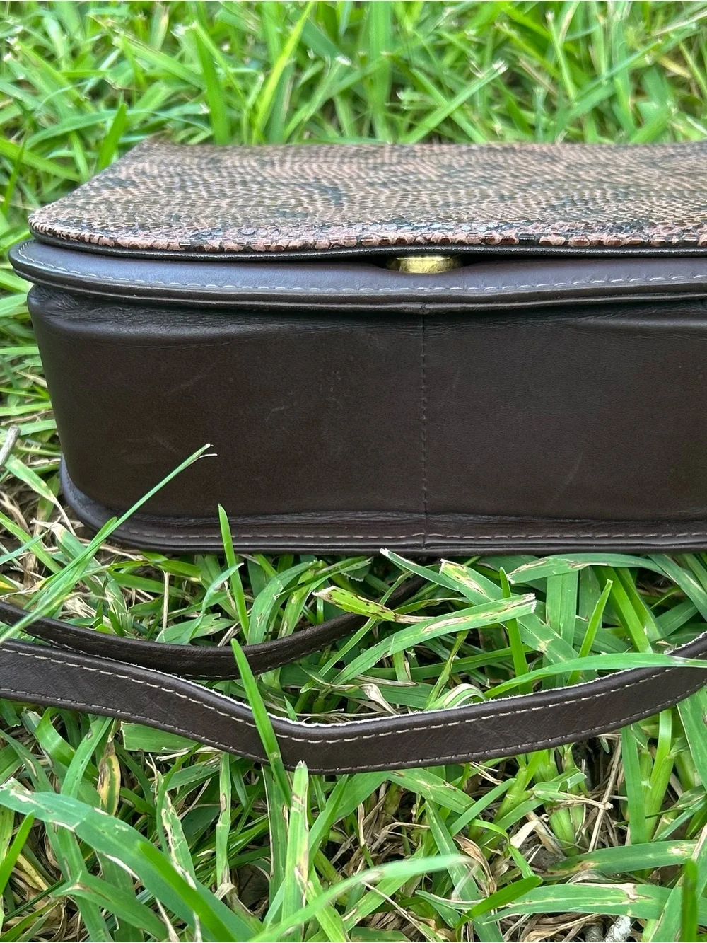 Vintage Brown Reptile Print Clutch with Gold Frame